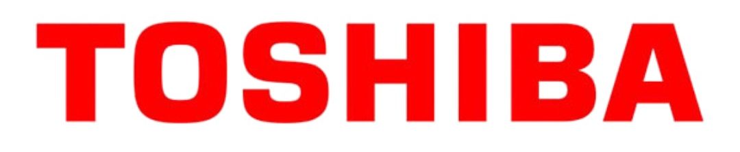 toshiba egypt